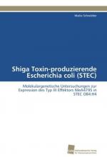 Shiga Toxin-produzierende Escherichia coli (STEC)