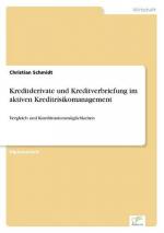 Kreditderivate und Kreditverbriefung im aktiven Kreditrisikomanagement