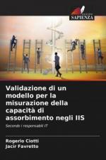 Validazione di un modello per la misurazione della capacità di assorbimento negli IIS