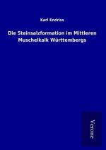 Karl Endriss: Die Steinsalzformation im 