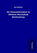 Karl Endriss: Die Steinsalzformation im 