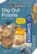 ISBN 4002051617226: Dig Out Fossils/Fossilien