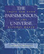 ISBN 9780387979915: The parsimonious universe. shape and form in the natural world.