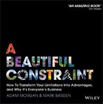 ISBN 9781118899014: A Beautiful Constraint