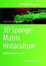 ISBN 9781493992720: 3D Sponge-Matrix Histoculture | Methods and Protocols | Robert M. Hoffman | Taschenbuch | xviii | Englisch | 2019 | Springer US | EAN 9781493992720