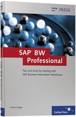 SAP BW Professional – Tips and tricks for dealing with SAP Business Information Warehouse