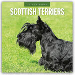 ISBN 9781804425077: Scottish Terrier - Scotchterrier 2025 - 16-Monatskalender