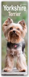 ISBN 9781804605202: Yorkshire Terrier - Yorkies 2025