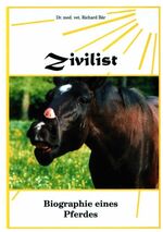 Zivilist