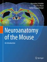 ISBN 9783030198978: Neuroanatomy of the Mouse – An Introduction