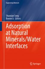 ISBN 9783030544508: Adsorption at Natural Minerals/Water Interfaces