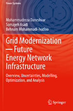 ISBN 9783030641016: Grid Modernization ─ Future Energy Network Infrastructure - Overview, Uncertainties, Modelling, Optimization, and Analysis