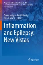 ISBN 9783030674052: Inflammation and Epilepsy: New Vistas