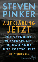 Aufklärung jetzt - Für Vernunft, Wissenschaft, Humanismus und Fortschritt. Eine Verteidigung