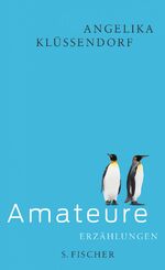 ISBN 9783100382030: Amateure – Erzählungen