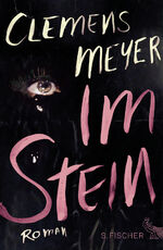 Clemens Meyer: Im Stein. Roman - signier Clemens Meyer: Im Stein. Roman - signier