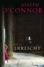 ISBN 9783100540188: Irrlicht (OT: Ghost Light)