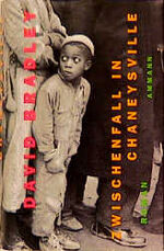 ISBN 9783250103028: Zwischenfall in Chaneysville Aus dem Amerikanischen von Manfred Allié