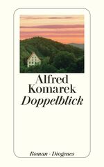 ISBN 9783257240306: Doppelblick