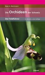 ISBN 9783258081298: Die Orchideen der Schweiz – Der Feldführer