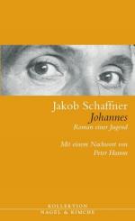 ISBN 9783312003556: Johannes - Roman einer Jugend