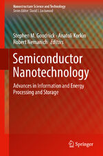 ISBN 9783319918952: Semiconductor Nanotechnology – Advances in Information and Energy Processing and Storage