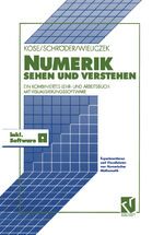 ISBN 9783322872296: Numerik sehen und verstehen - Ein kombiniertes Lehr- und Arbeitsbuch mit Visualisierungssoftware