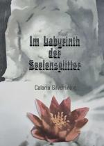 ISBN 9783347227453: Im Labyrinth der Seelensplitter