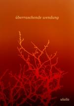 ISBN 9783347784710: überraschende wendung