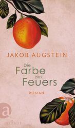 ISBN 9783351042233: Die Farbe des Feuers