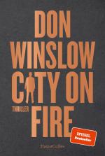 ISBN 9783365003169: City on Fire