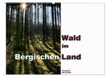 ISBN 9783383246210: Wald im Bergischen Land 2024 (Wandkalender 2024 DIN A2 quer), CALVENDO Monatskalender