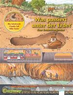 Sokolowski, Ilka; Toll, Claudia: Was pas Sokolowski, Ilka; Toll, Claudia: Was pas