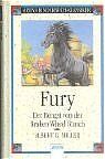 ISBN 9783401055497: Fury - Der Hengst von der Broken Wheel Ranch