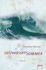 ISBN 9783401062242: Salzwassersommer