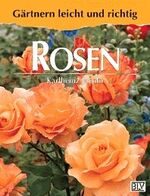 ISBN 9783405142421: Rosen