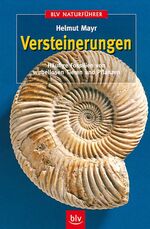 ISBN 9783405151157: Versteinerungen - Häufige Fossilien von wirbellosen Tieren und Pflanzen