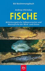 ISBN 9783405158484: Fische – Mitteleuropäische Süsswasserarten und Meeresfische der Nord- und Ostsee