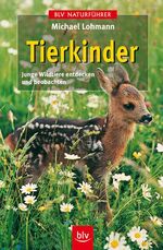 ISBN 9783405160197: Tierkinder - Junge Wildtiere entdecken und beobachten