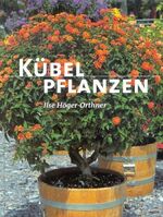 ISBN 9783405162863: Kübelpflanzen