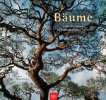 ISBN 9783405166427: Bäume – Eine Weltreise in faszinierenden Fotos