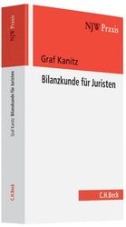 Bilanzkunde für Juristen