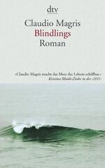 ISBN 9783423137324: Blindlings