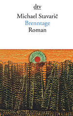 Michael Stavaric: Brenntage: Roman Michael Stavaric: Brenntage: Roman
