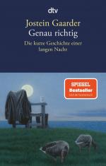 Jostein Gaarder: Genau richtig – Die kur