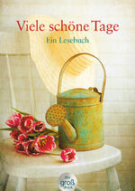 ISBN 9783423253314: Viele schöne Tage: Ein Lesebuch