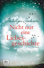 Nicht nur eine Liebesgeschichte: Roman