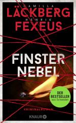 ISBN 9783426227633: Finsternebel - Kriminalroman