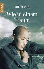 ISBN 9783426509029: Wie in einem Traum – Roman