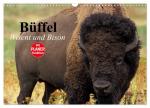 ISBN 9783435549825: Bueffel. Wisent und Bison (Wandkalender 2025 DIN A3 quer), CALVENDO Monatskalender